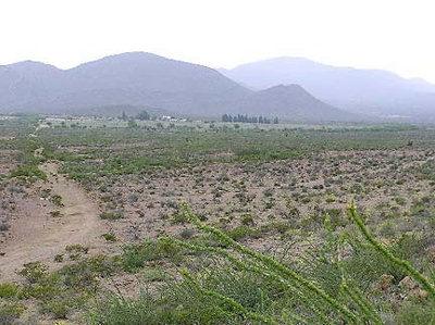 Rancho La Alegría, General Cepeda, Coahuila